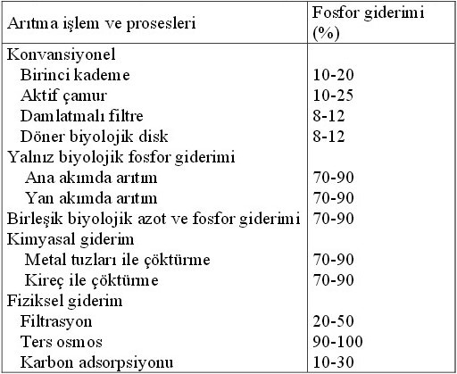 fosfor giderimi